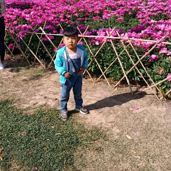 এ᭄吴贺ꦿృ༊