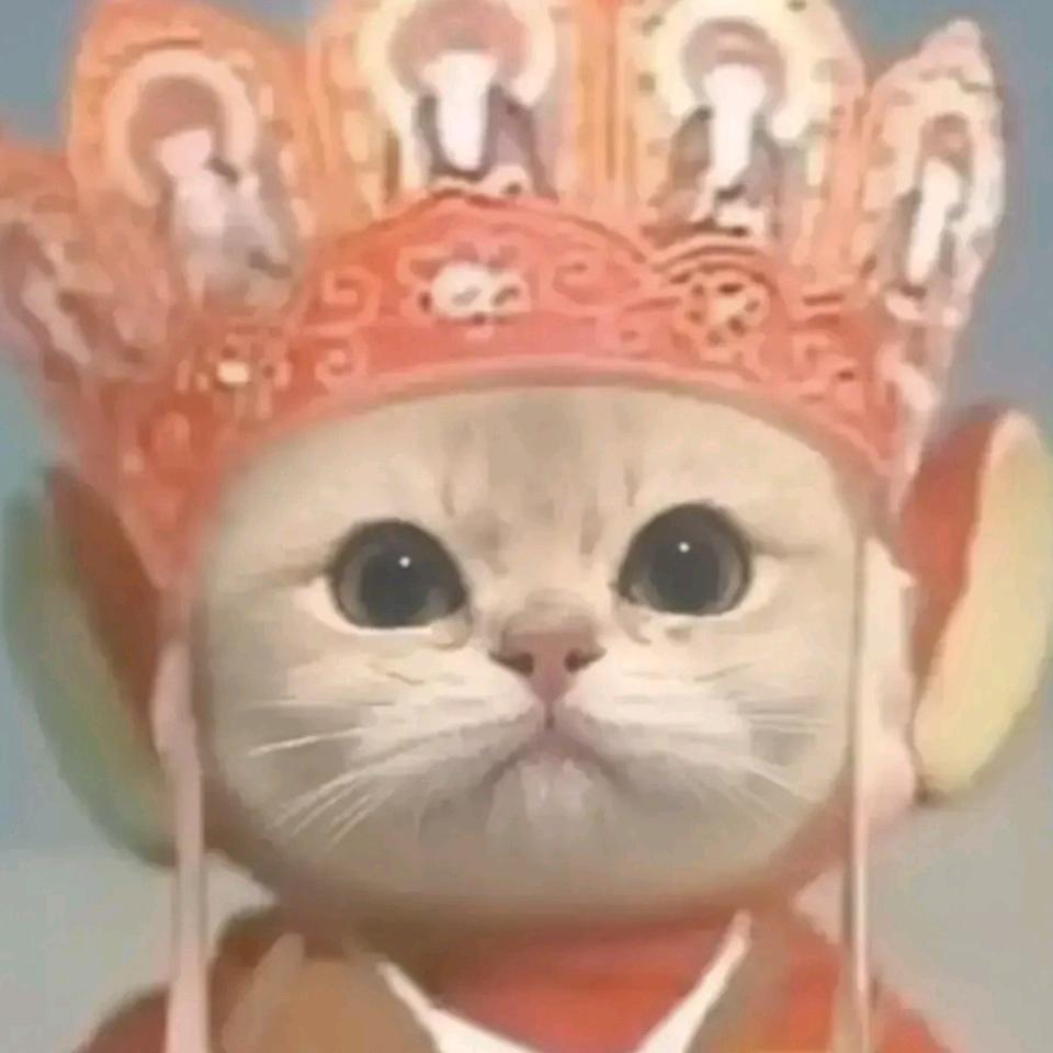 🌈醒醒📣！！