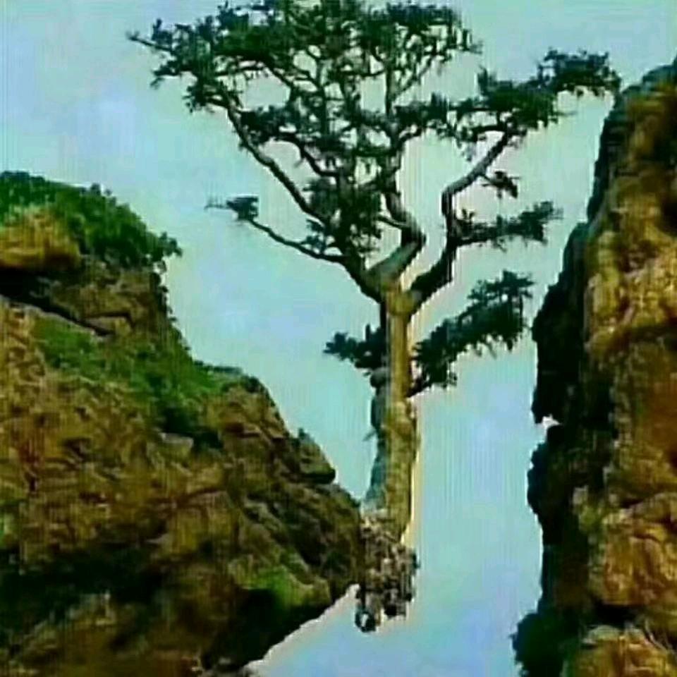 水果蔬菜哥