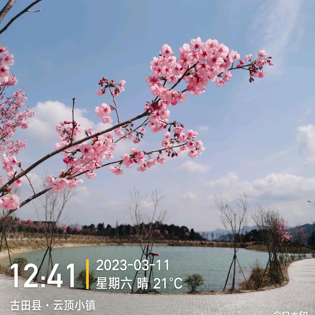 谢谢叔
