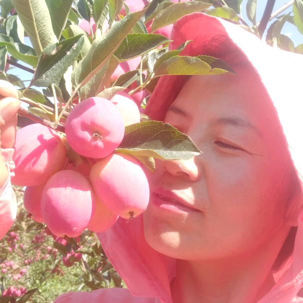 花🌸开花🌸落
