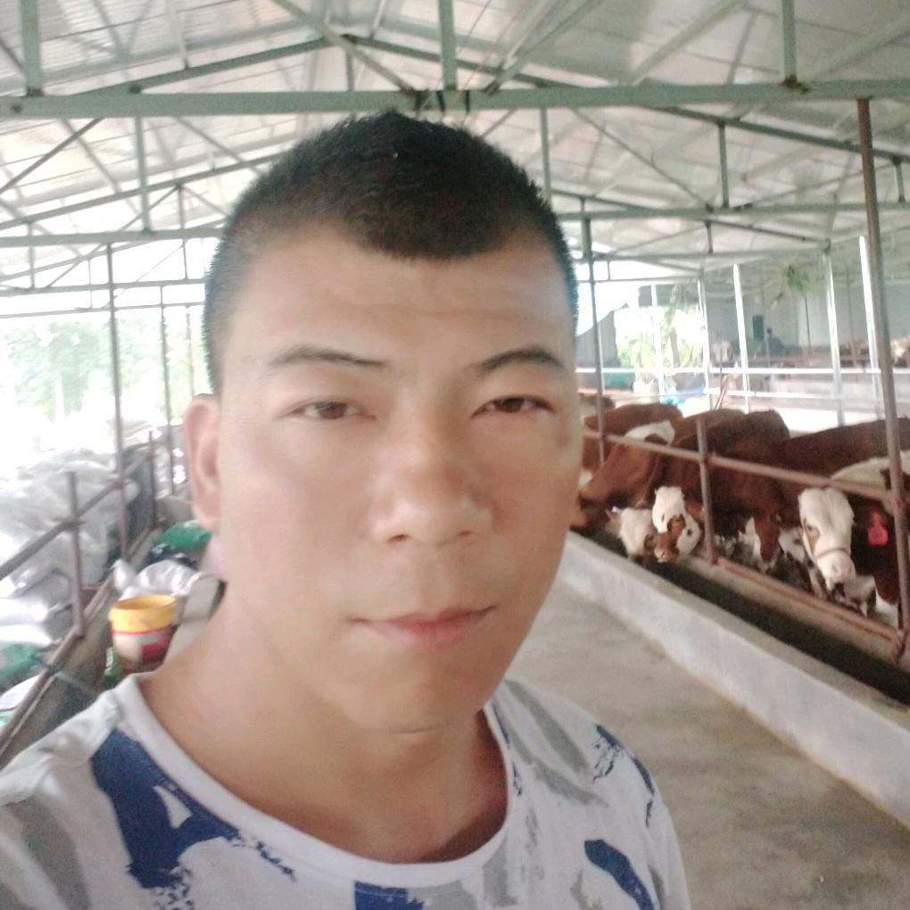 西部牛仔，牛哥