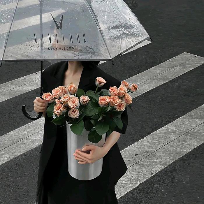 晨星