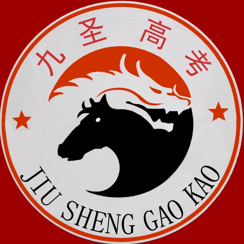 新疆九圣高考