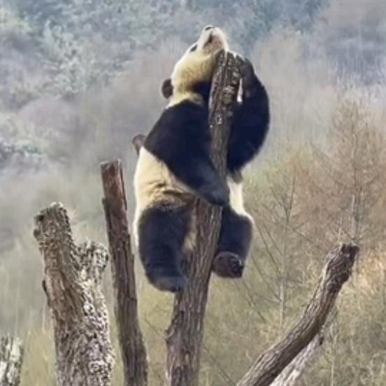 工程资质专家～代工