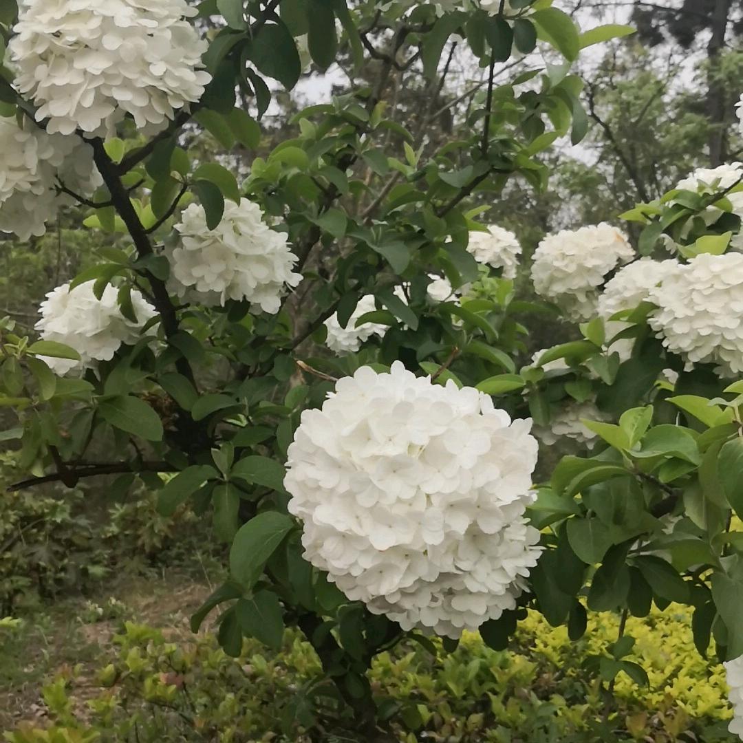 空   白   格