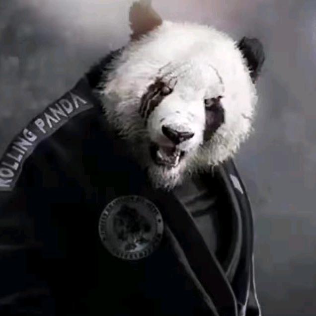 肝帝洛神（三角洲行动）