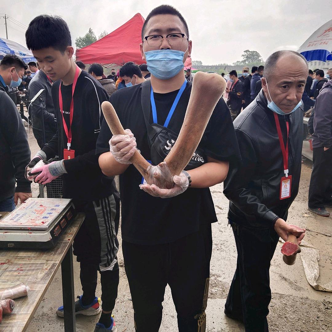 鹿茸 (扬帆）
