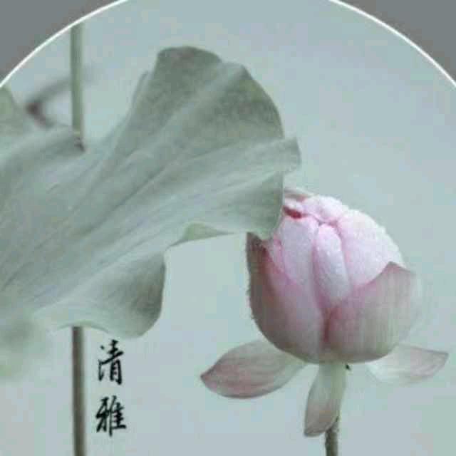 清荷心清