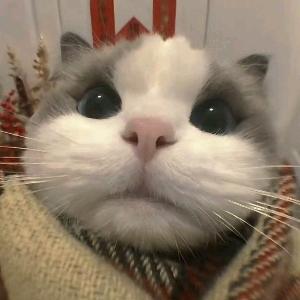 三角洲双人直播跑刀