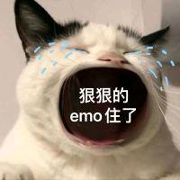 小菜