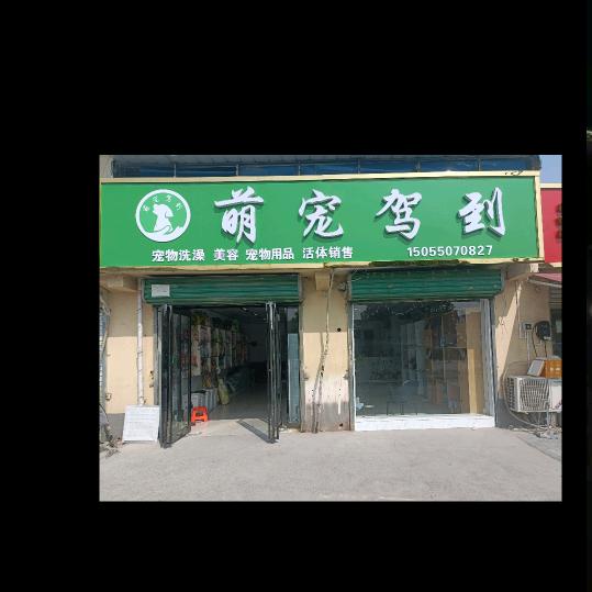 萌宠驾到古泉路店