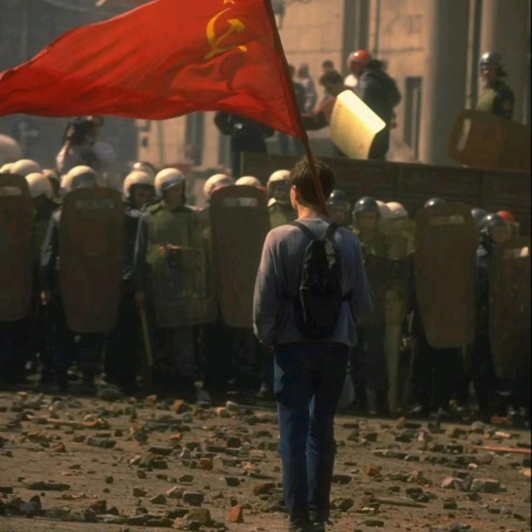 感无岂石木非心