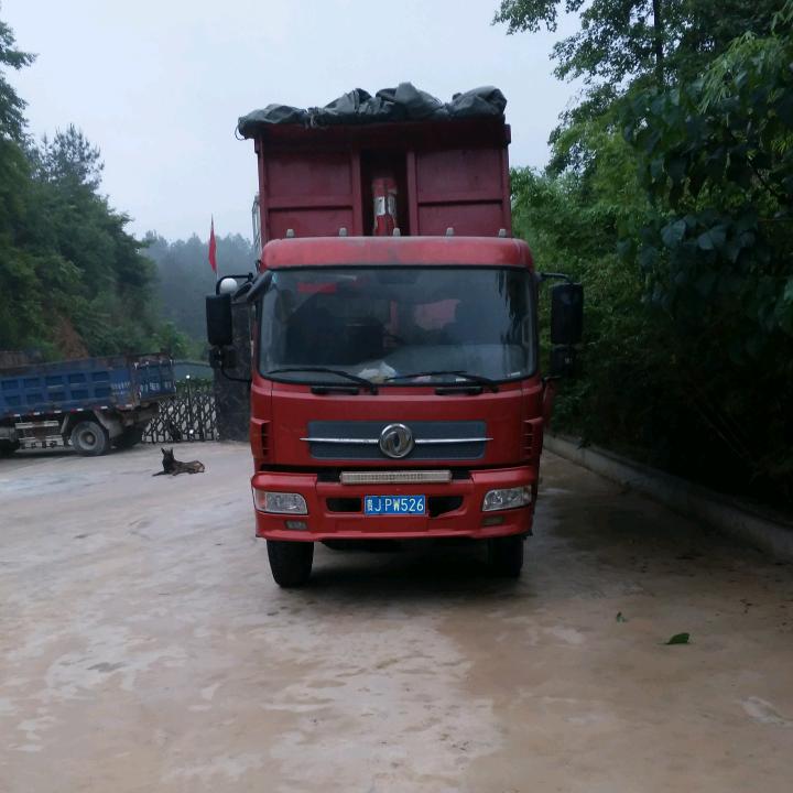 批发水泥强哥