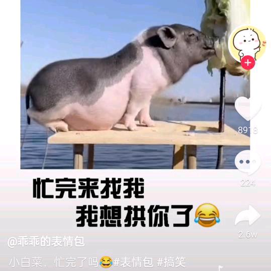 @我爱甜[爱心]