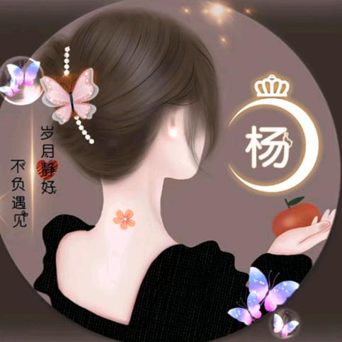踏雪寻梅
