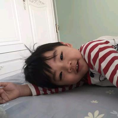凤翼天翔