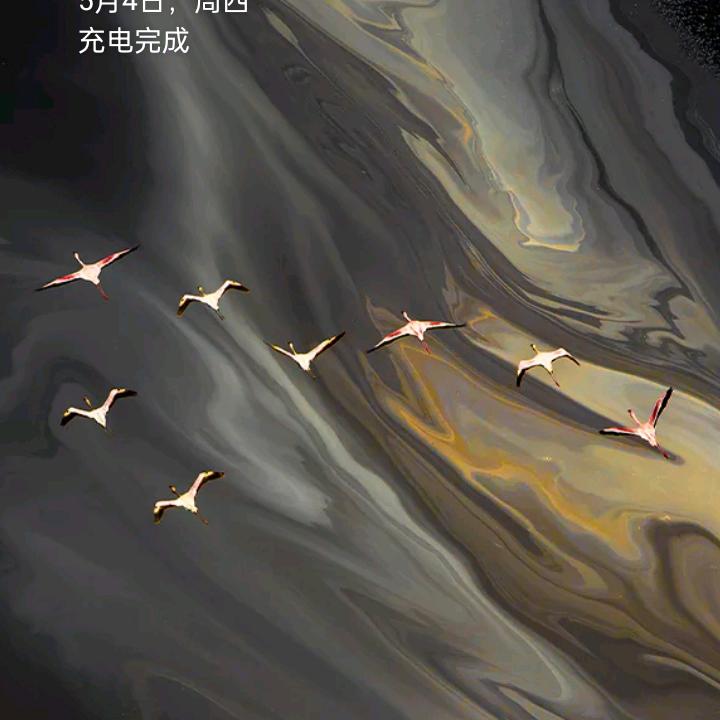 熟悉的陌生人