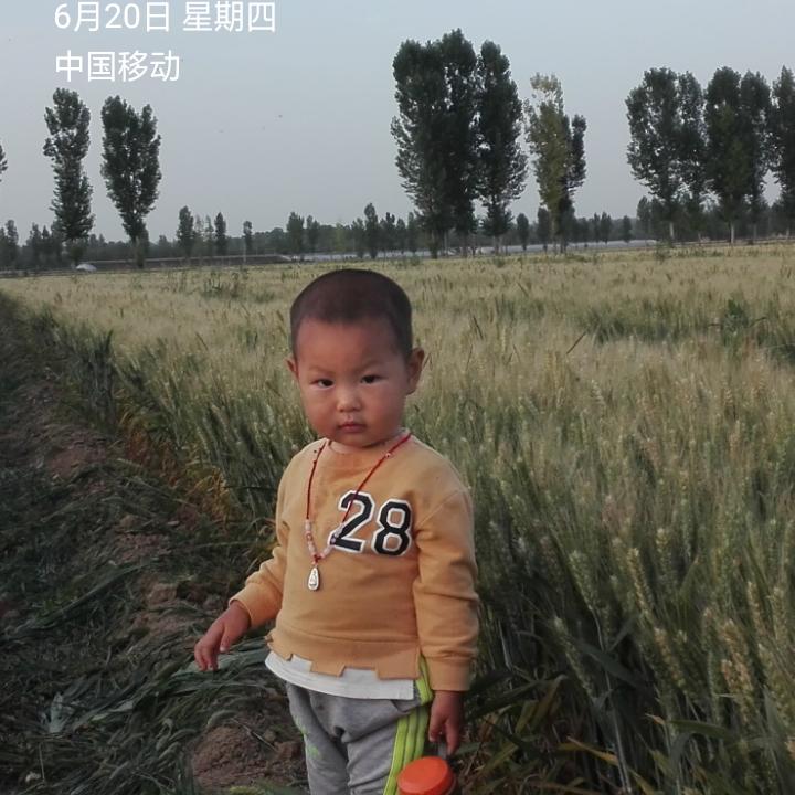 小松爷爷