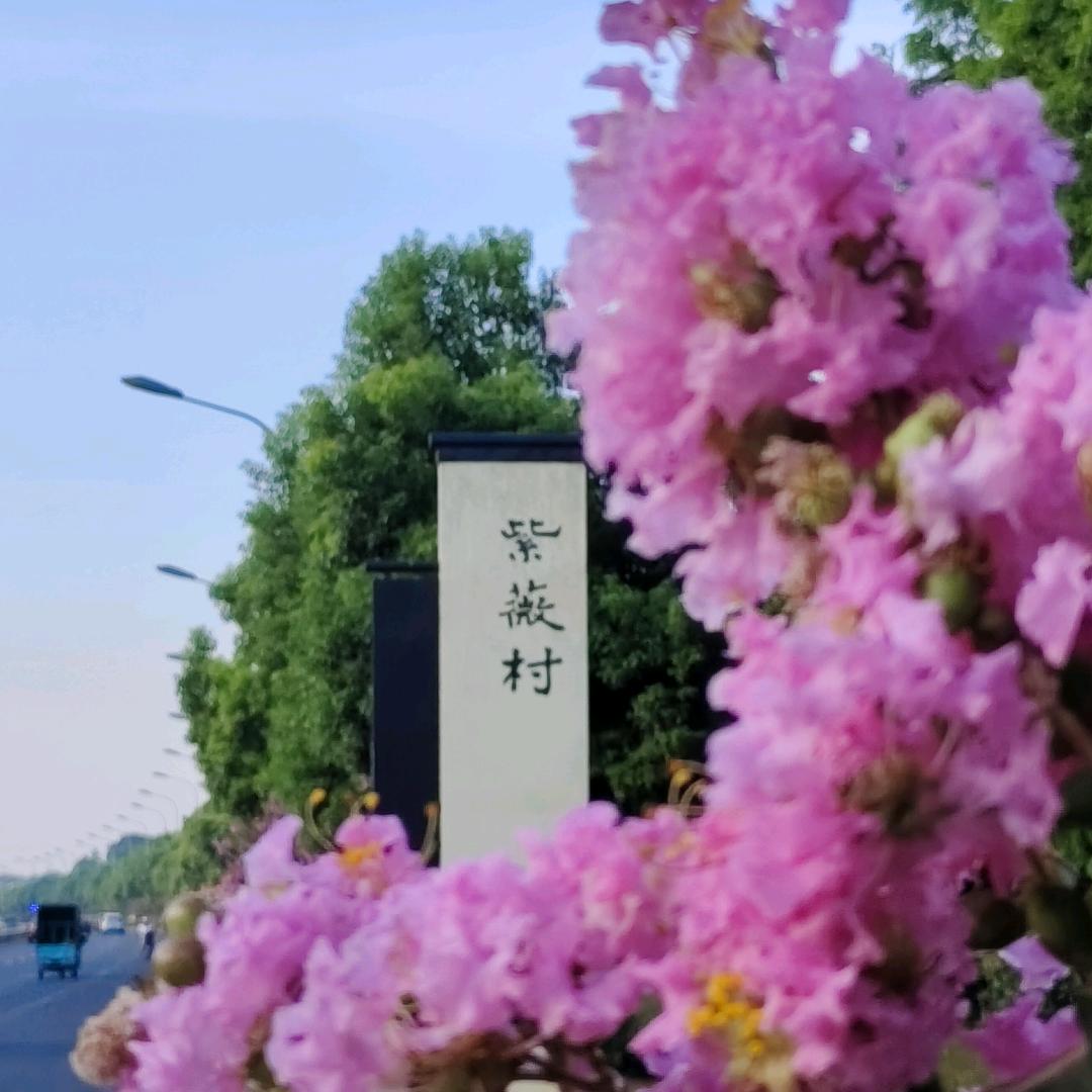 益阳市紫薇食家