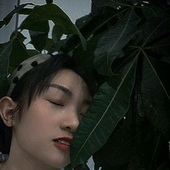 小小琴