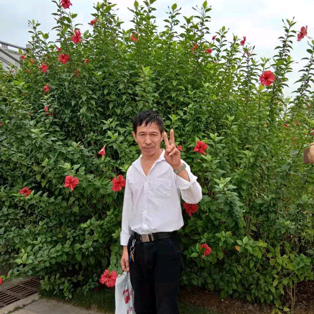 心如海洋