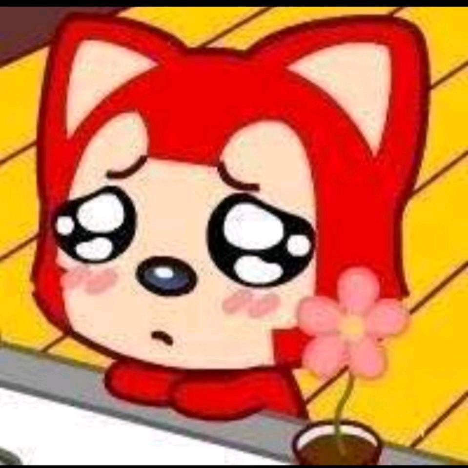 经典①⑨⑤⑥