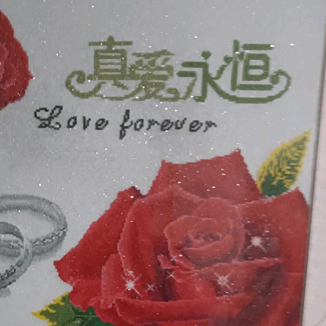 尽情快乐