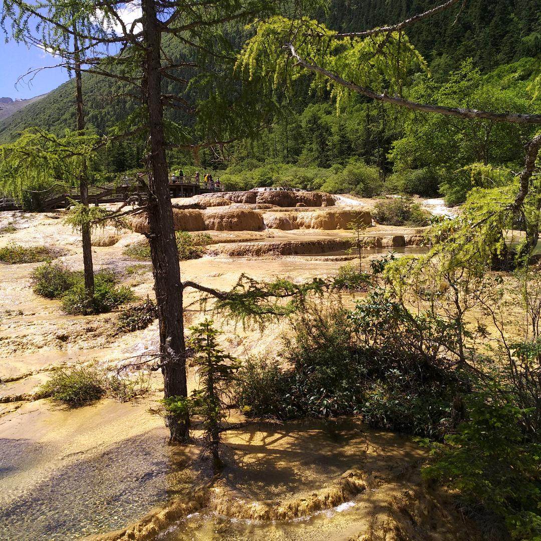 业善姐妹鼓舞团团长岁月静好