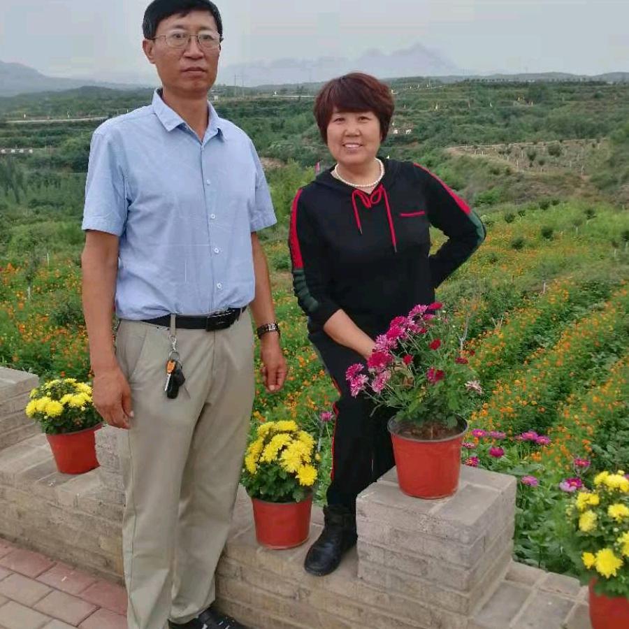 婵悟头疗护理