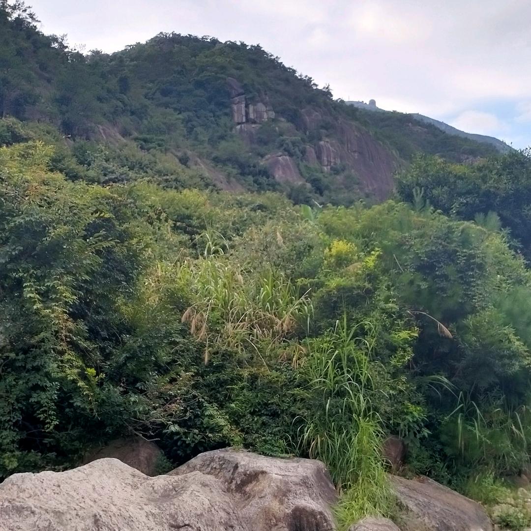 黎明的天空伴我前行