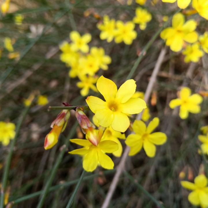 春华🍀秋实