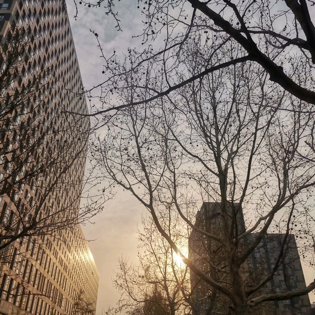 小真真