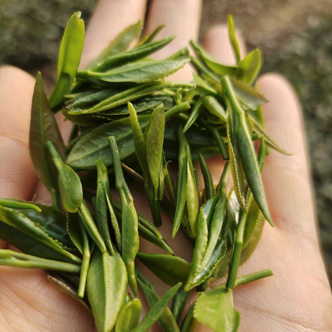 卖茶叶的小姐姐〖花木兰〗