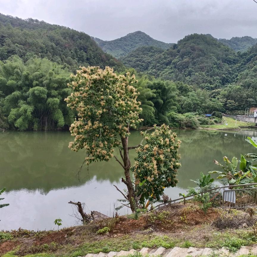 宁静爱玩