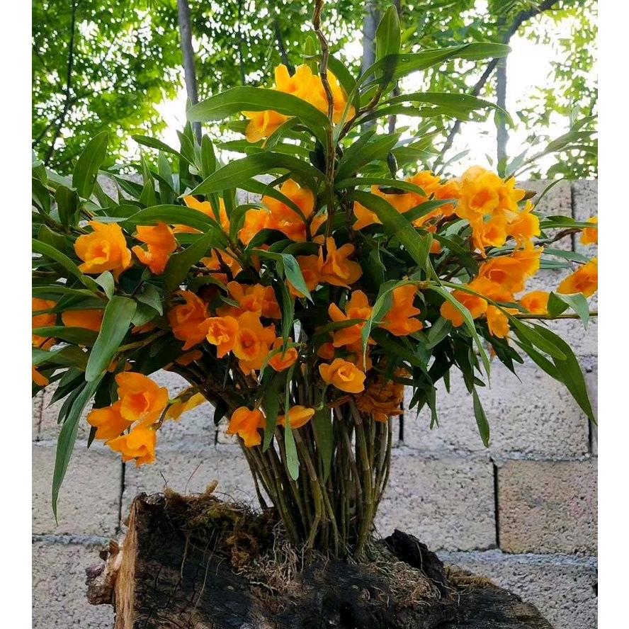 为了生活奋斗一辈子