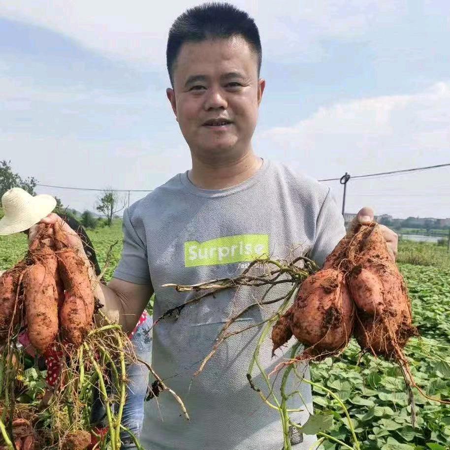 乡愁味