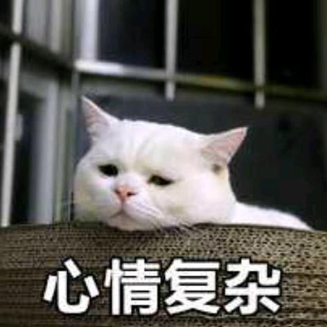 幕府掠杀球贼猛🏸