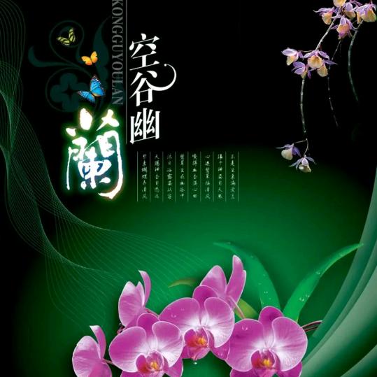 🍀鹃城晓梦🍃