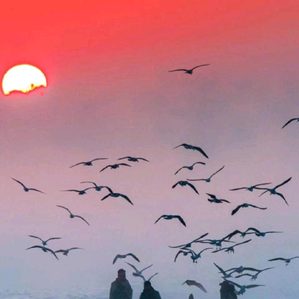 糖果😊