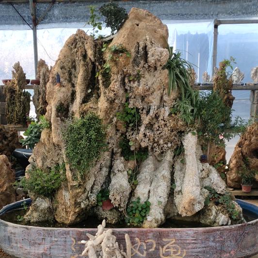 石全石美园艺盆景