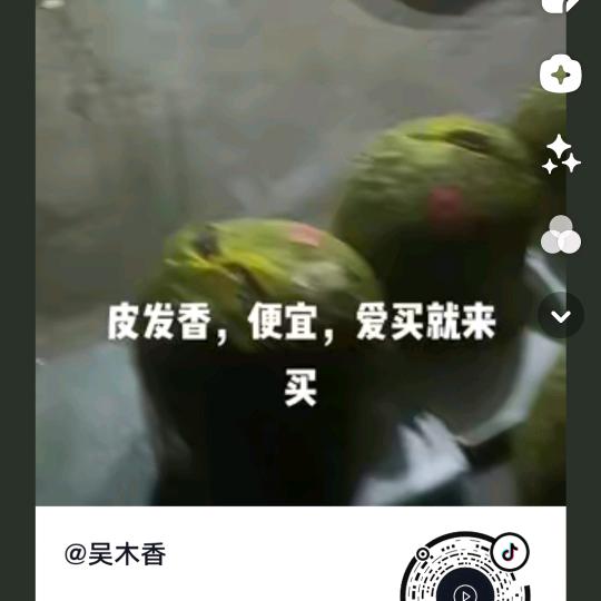 吴木香