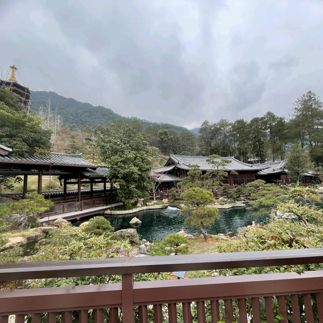 胡萝卜鸡🥕🐔