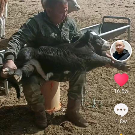 牛🐮哥