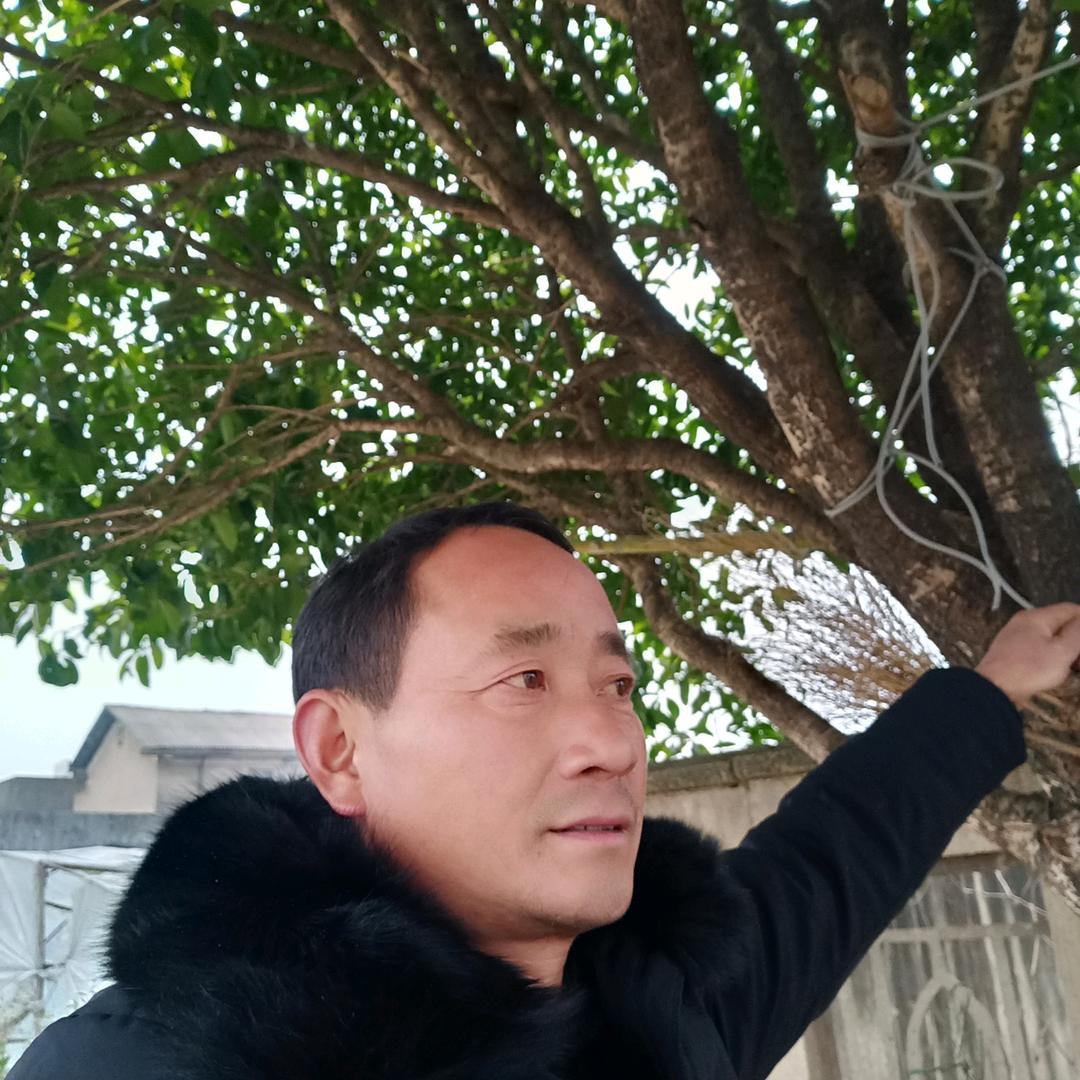 何哥，西充义兴