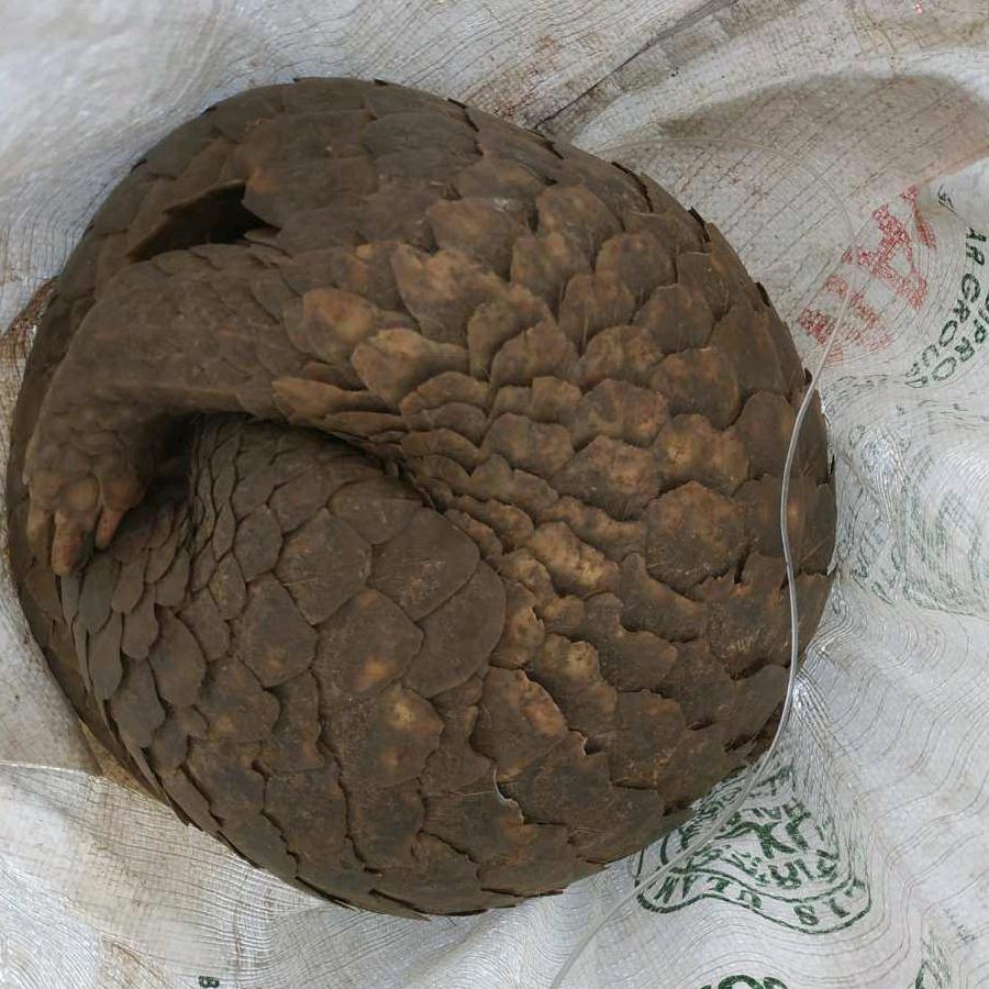 华尔街