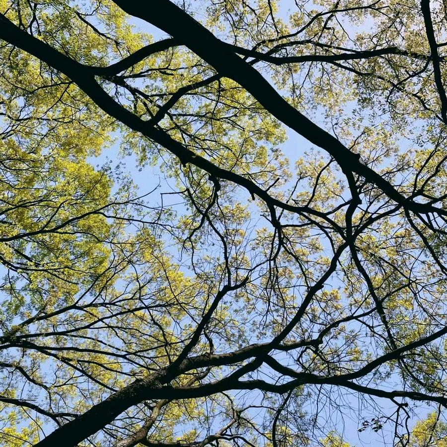 ༄ღ᭄ꦿ༊࿆࿆释然