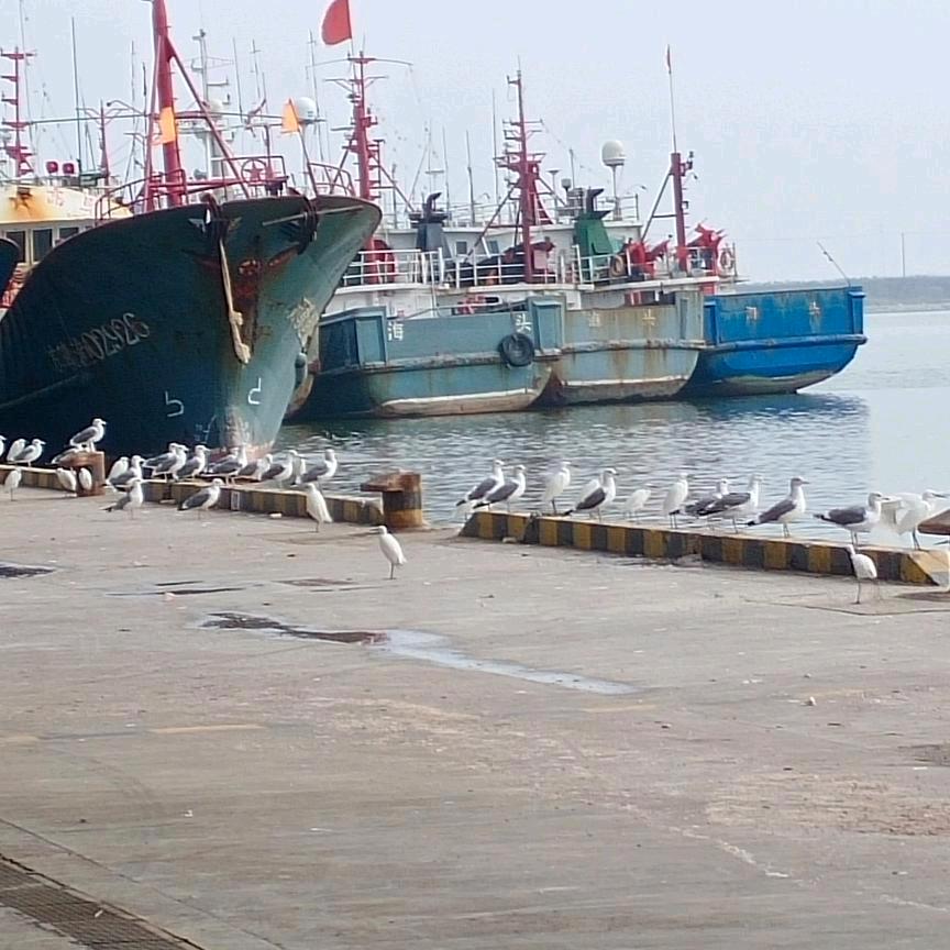 刘师傅