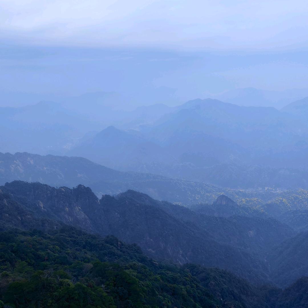 专业收藏
