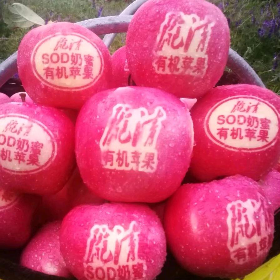 陇清欣欣水果专卖店